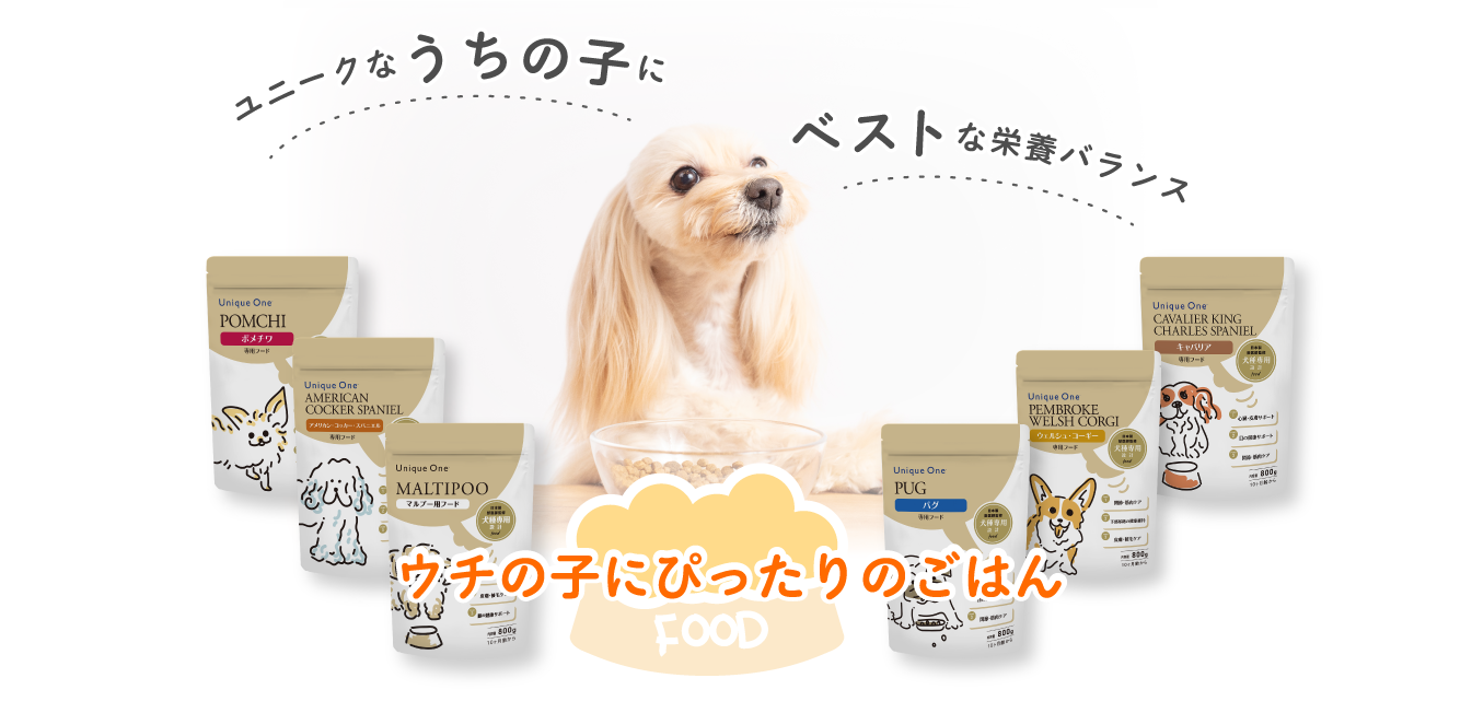 さがしてみよう