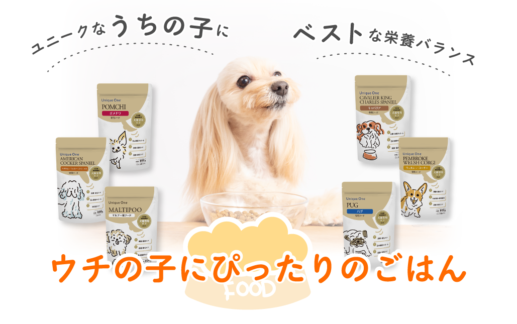 さがしてみよう